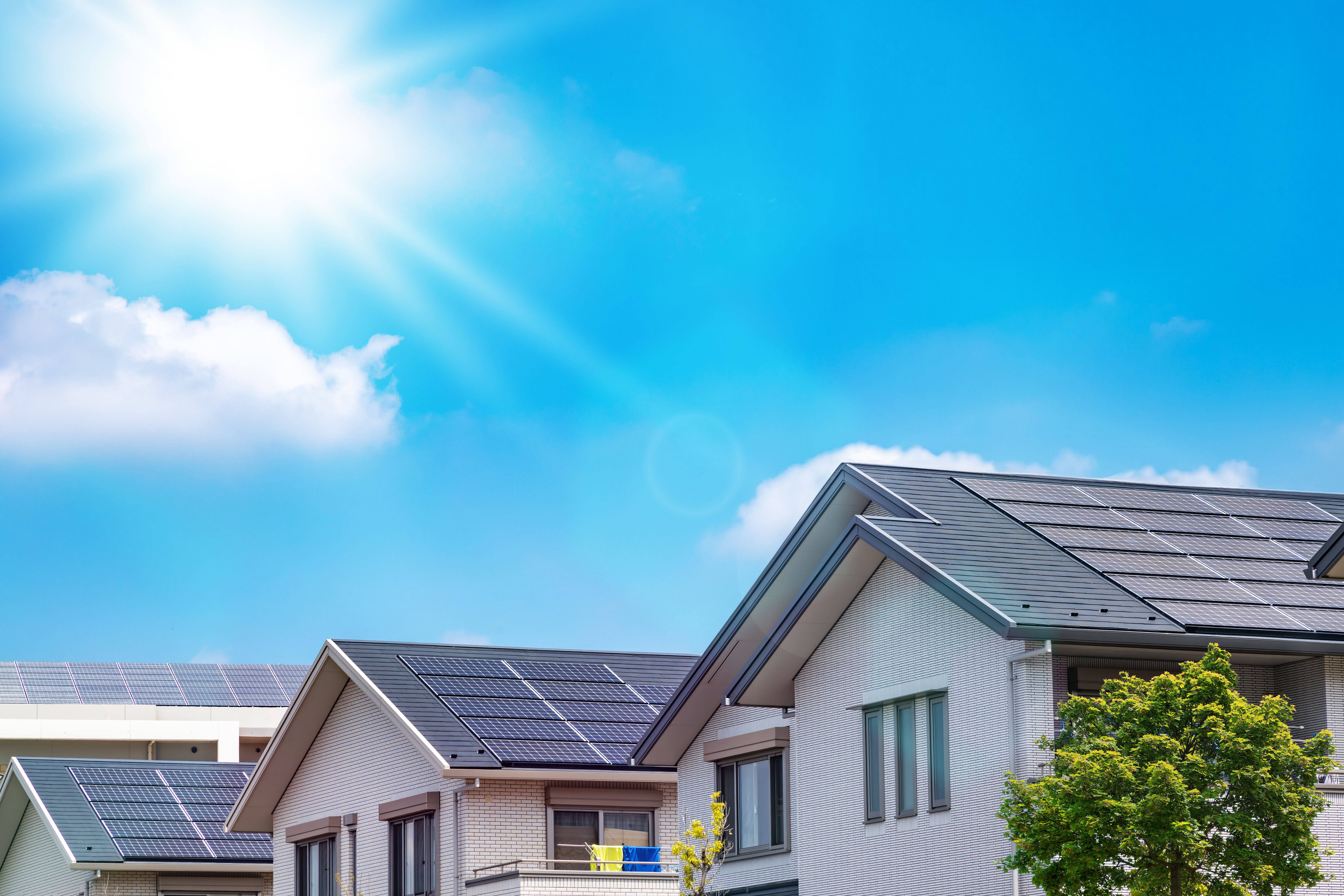 市場連動型電力買取